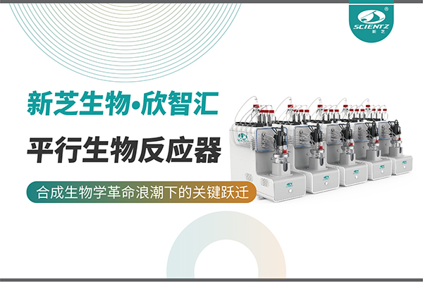 培養(yǎng)菌株和評估工藝參數(shù)影響太難太慢？平行生物反應(yīng)器提供關(guān)鍵解決方案！